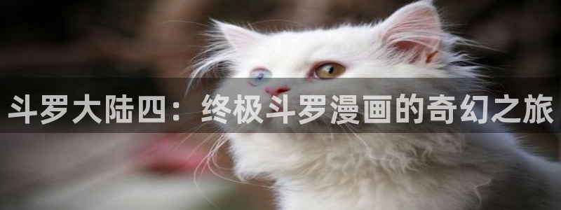 镇魂街包子漫画：斗罗大陆四：终极斗罗漫画的奇幻之旅